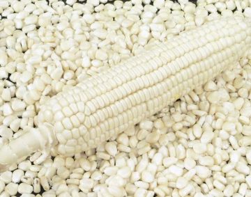 imgonline-com-ua-resize-hbf5ts7qyk25z0o